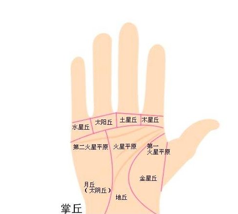 太阳丘在手掌什么位置