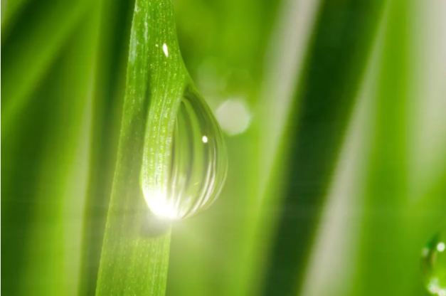 五行缺水化解